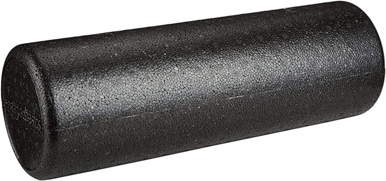 affordable exercise recovery tool