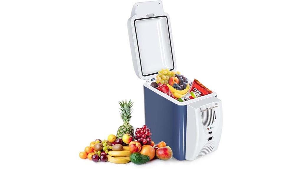 portable 12v cooler warmer