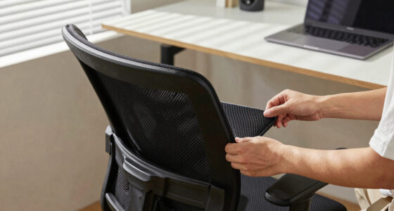 14 Best Ergonomic Lumbar Support Cushions in 2026