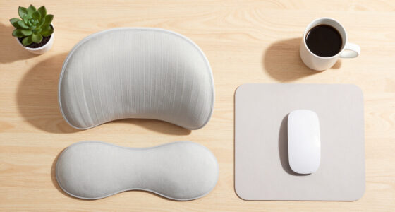5 Best Ergonomic Desk Accessories in 2026