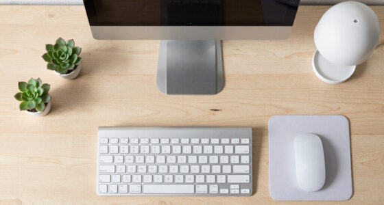 7 Best Ergonomic Desk Accessories in 2026