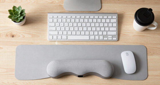 11 Best Ergonomic Office Desk Accessories in 2026