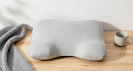 15 Best Ergonomic Lumbar Support Pillows in 2026