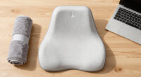 15 Best Ergonomic Seat Cushions in 2026